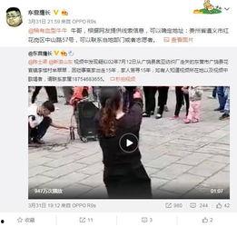 李桂林最新爆料视频播放,事件真相再引热议